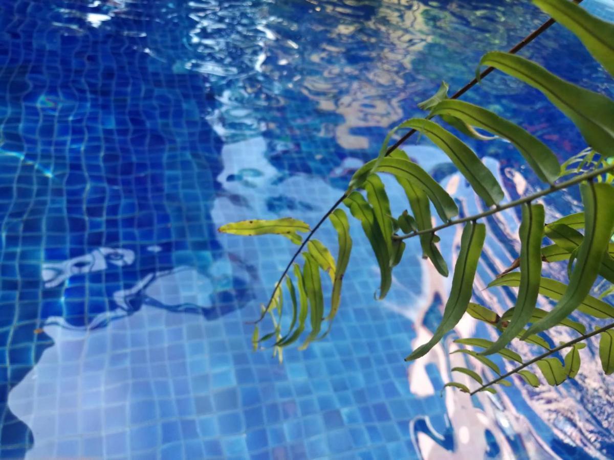 Lanna Boutique Resort Чиангмай Екстериор снимка